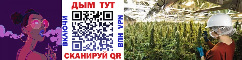 купить наркотик  Волгоград  Канабис Ganja 
